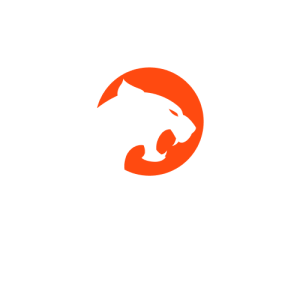 Puma Casino